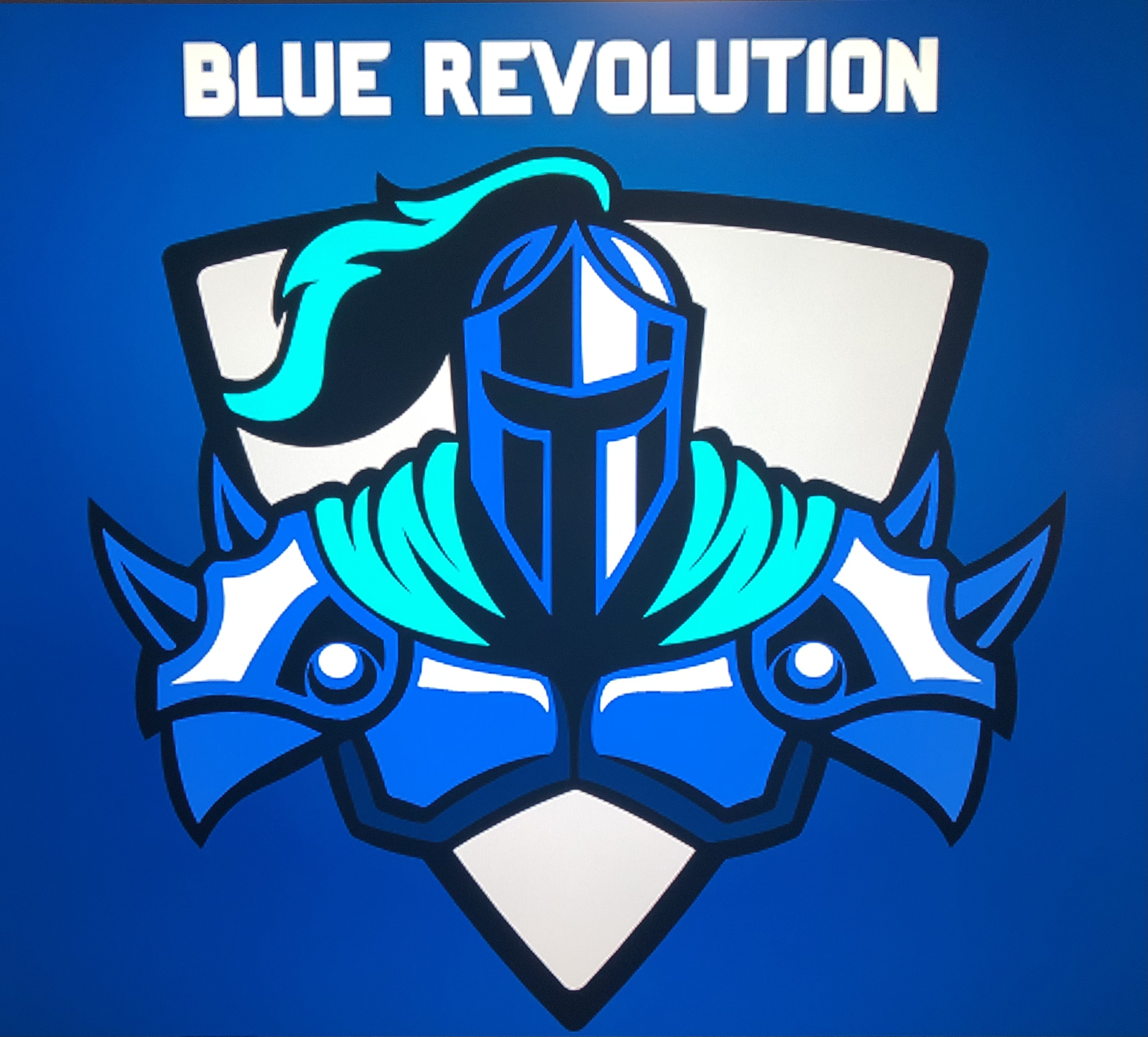 Blue-Revolution-logo.jpg